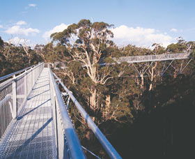  Hervey Bay Accommodation