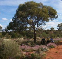 Karlkurla Bushland Park - Hervey Bay Accommodation