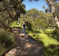 Leschenault Peninsula Conservation Park - Hervey Bay Accommodation