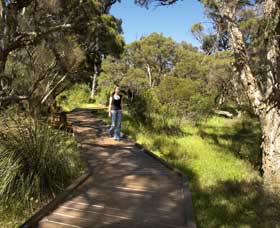 Leschenault Peninsula Conservation Park - Hervey Bay Accommodation 0