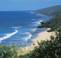 Yallingup Beach - Hervey Bay Accommodation