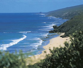 Yallingup Beach - Hervey Bay Accommodation 0