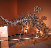 Denmark Dinosaur World - Hervey Bay Accommodation