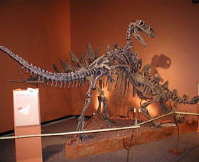 Denmark Dinosaur World - Tourism Hervey Bay 0