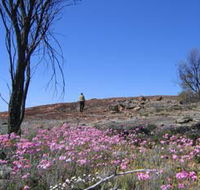 Talgomine Reserve