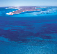 Dirk Hartog Island - Hervey Bay Accommodation