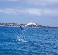 Steep Point - Hervey Bay Accommodation