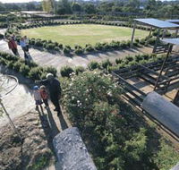 Kojonup Rose Maze - Hervey Bay Accommodation