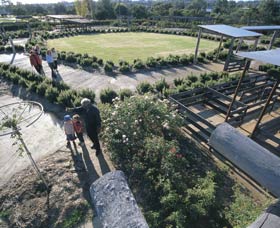 Kojonup Rose Maze - Hervey Bay Accommodation 0