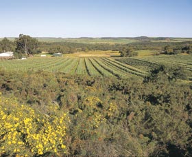 Chapman Valley Scenic Drive - Hervey Bay Accommodation 0