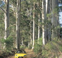 Mount Shadforth Scenic Drive - Hervey Bay Accommodation
