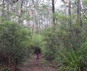 Hervey Bay Accommodation