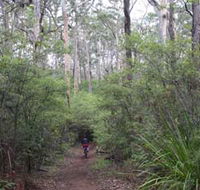 Margaret River Rails Trail - Hervey Bay Accommodation