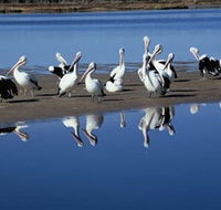 Peel Region Canoe Trails - Hervey Bay Accommodation
