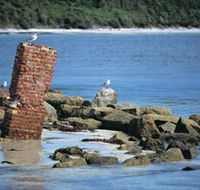 Whalers Beach - Hervey Bay Accommodation