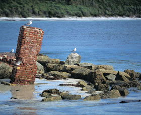 Whalers Beach - Hervey Bay Accommodation 0