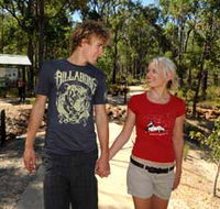 Crooked Brook Forest - Hervey Bay Accommodation