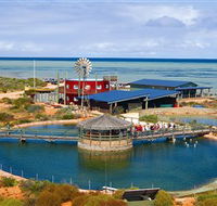 Ocean Park Aquarium - Hervey Bay Accommodation