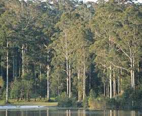 Big Brook Dam - Hervey Bay Accommodation 0