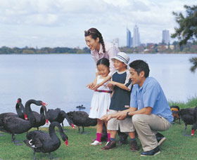  Hervey Bay Accommodation