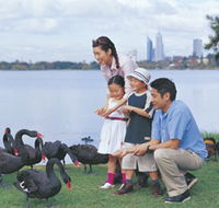 Lake Monger - Hervey Bay Accommodation