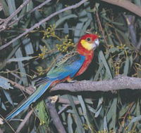 King River - Hervey Bay Accommodation