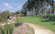 Kings Park Free Guided Walks - thumb 0