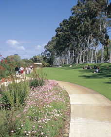 Kings Park Free Guided Walks - Hervey Bay Accommodation 0