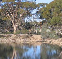 Merredin Railway Dam - Hervey Bay Accommodation