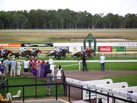 Pinjarra Race Club - Tourism Hervey Bay 0
