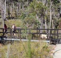 Forest Path Crooked Brook - Hervey Bay Accommodation