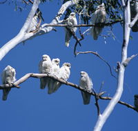 Carawine Gorge - Hervey Bay Accommodation