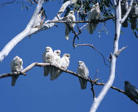 Carawine Gorge - Hervey Bay Accommodation 0