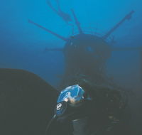Swan Dive Wreck - Hervey Bay Accommodation