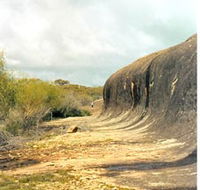 Totadgin Dam Reserve - Hervey Bay Accommodation