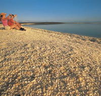 Shell Beach - Hervey Bay Accommodation