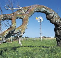 Greenough Leaning Trees - Hervey Bay Accommodation