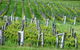 Sienna Estate Winery - thumb 0