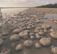 Yalgorup National Park - Hervey Bay Accommodation
