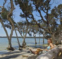 Stokes National Park - Hervey Bay Accommodation