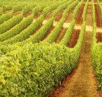 Xanadu Wines - Hervey Bay Accommodation