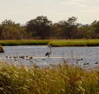 Anytime Adventures in Mandurah  the Peel Region - Hervey Bay Accommodation