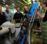 Eyre Peninsula's Seafood Trail - Hervey Bay Accommodation