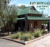Rain Moth Gallery - Hervey Bay Accommodation