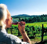 Ashton Hills Vineyard - Hervey Bay Accommodation