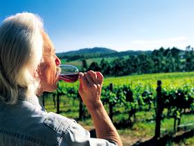 Ashton Hills Vineyard - Tourism Hervey Bay 0