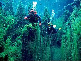 Caveton SA Tourism Hervey Bay