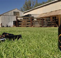 Wilkadene Woolshed Brewery - Hervey Bay Accommodation