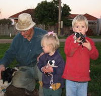 Orrie Cowie Merino and Poll Merino Stud - Hervey Bay Accommodation