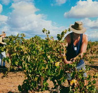 Torbreck Vintners - Hervey Bay Accommodation
